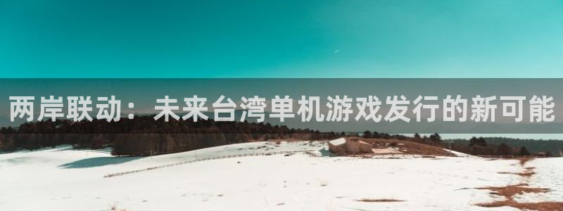 新宝GG官网登录注册失败怎么办：两岸联动：未来台湾单机游戏发行的新可能