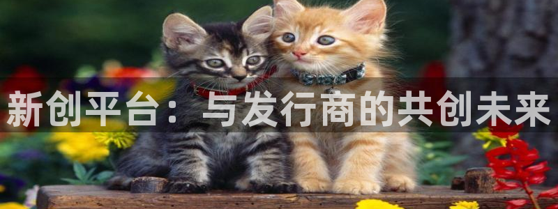 新宝GG图片