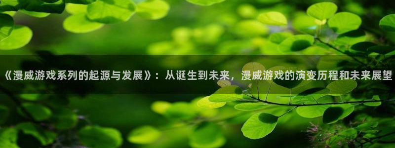 新宝GG官网注册平台怎么样可靠吗：《漫威游戏系列的起源与发展》：从诞生到未来，漫威游戏的演变历程和未来展望
