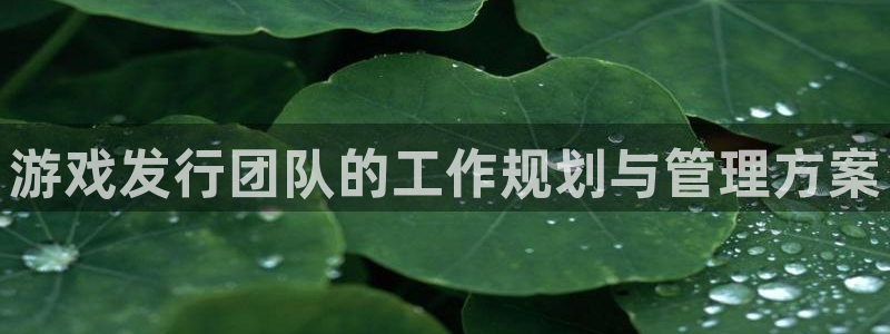 新宝GG男装品牌：游戏发行团队的工作规划与管理方案