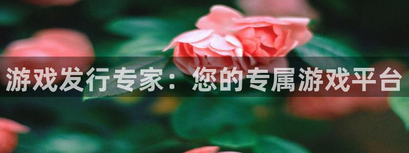 新宝GG子代表什么意思：游戏发行专家：您的专属游戏平台
