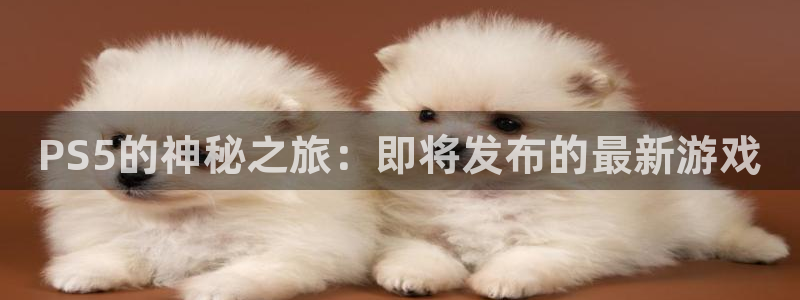 新宝GG官网登录注册：PS5的神秘之旅：即将发布的最新游戏