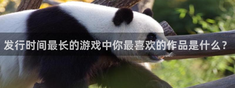 广东新宝GG：发行时间最长的游戏中你最喜欢的作品是什么？