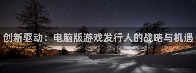 新宝GG子文化创意加好友：创新驱动：电脑版游戏发行人的战略与机遇