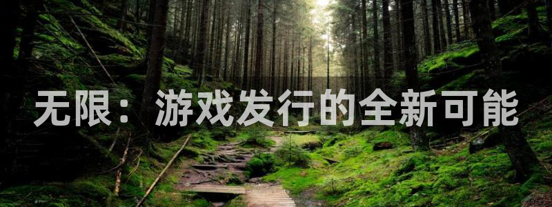 新宝GG智邦(北京)品牌策划有限公司：无限：游戏发行的全新可能