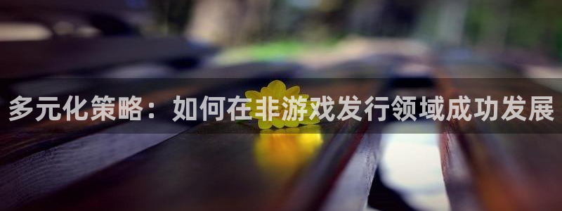 江苏新宝GG智得新材料有限公司：多元化策略：如何在非游戏发行领域成功发展