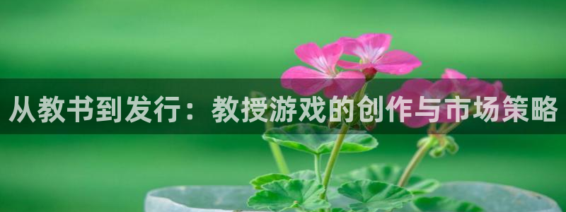 新宝GG电子商务