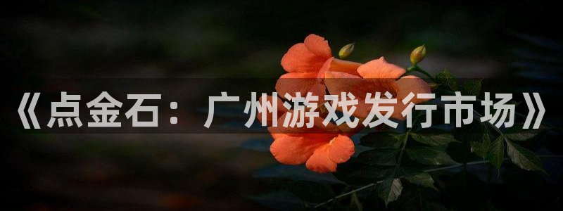 新宝GG是什么品牌