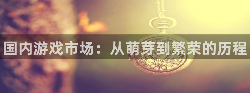 新宝GG子年度最佳图书：国内游戏市场：从萌芽到繁荣的历程