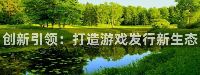 新宝GG子教育科技有限公司：创新引领：打造游戏发行新生态